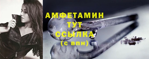 сатива Ростов
