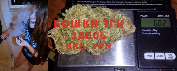 гидропоника Алзамай