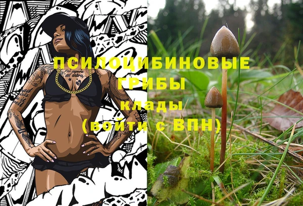 герыч Алексин