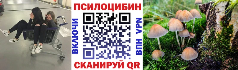 Галлюциногенные грибы мухоморы  где купить наркоту  Курганинск 
