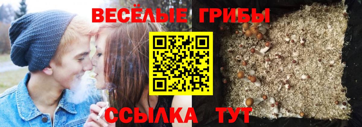 Галлюциногенные грибы MAGIC MUSHROOMS  Вход с VPN  Курганинск 
